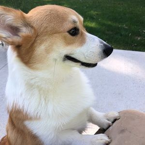 Meet your Posher, Colton